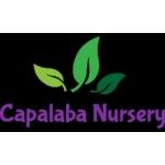 Capalaba Nursery, Capalaba, logo
