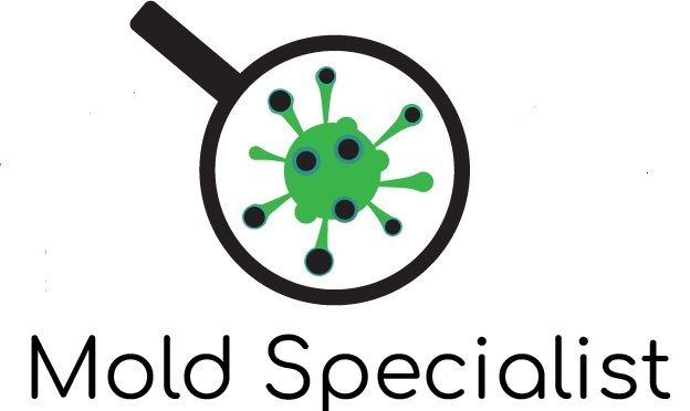 Green Guard Mold Specialist Elizabeth, Elizabeth