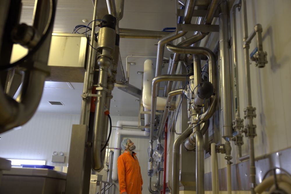 JLE Electrical Hawera