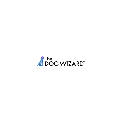 The Dog Wizard, Tampa, Florida