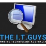 The I.T. Guys, Buddina, logo