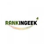 Rankingeek Marketing Agency, new delhi, logo
