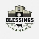 Blessings Ranch, Tomball, logo