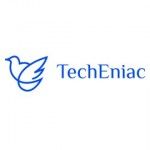 TechEniac Services LLP, Bayville, logo