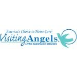 Visiting Angels Powder Springs, GA, Dallas, GA, logo