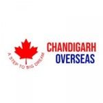 Chandigarh Overseas, Ludhiana, logo