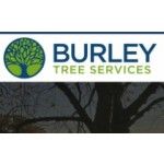 Burley Tree Services LTD, Petworth, logo