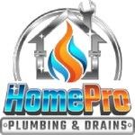 HomePro Plumbing and Drains, San Diego, CA, logo
