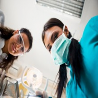 Martha's Vineyard Endodontics, P.C., Vineyard Haven Martha's Vineyard Endodontics, P.C., Vineyard Haven