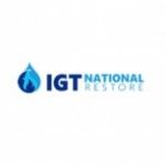 IGT National, Plymouth, logo