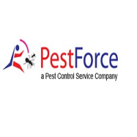 Pest Force Canada, Edmonton