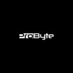 Probyte, Karachi, logo