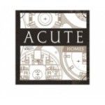 Acute Homes Ltd, Abingdon, logo