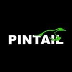 PINTAIL D&C Inc., Cypress, logo
