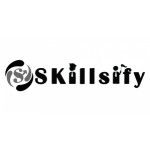 Skillsify Best Digital Marketing Agency & E-commerce Services, Delhi, 徽标