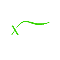 Exotic Auto Services LLC, Abu Dhabi