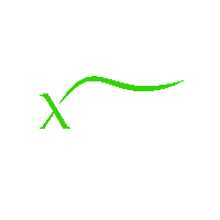 Exotic Auto Services LLC, Abu Dhabi Exotic Auto Services LLC, Abu Dhabi