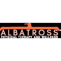 Albatross Physical Therapy, Naperville, IL