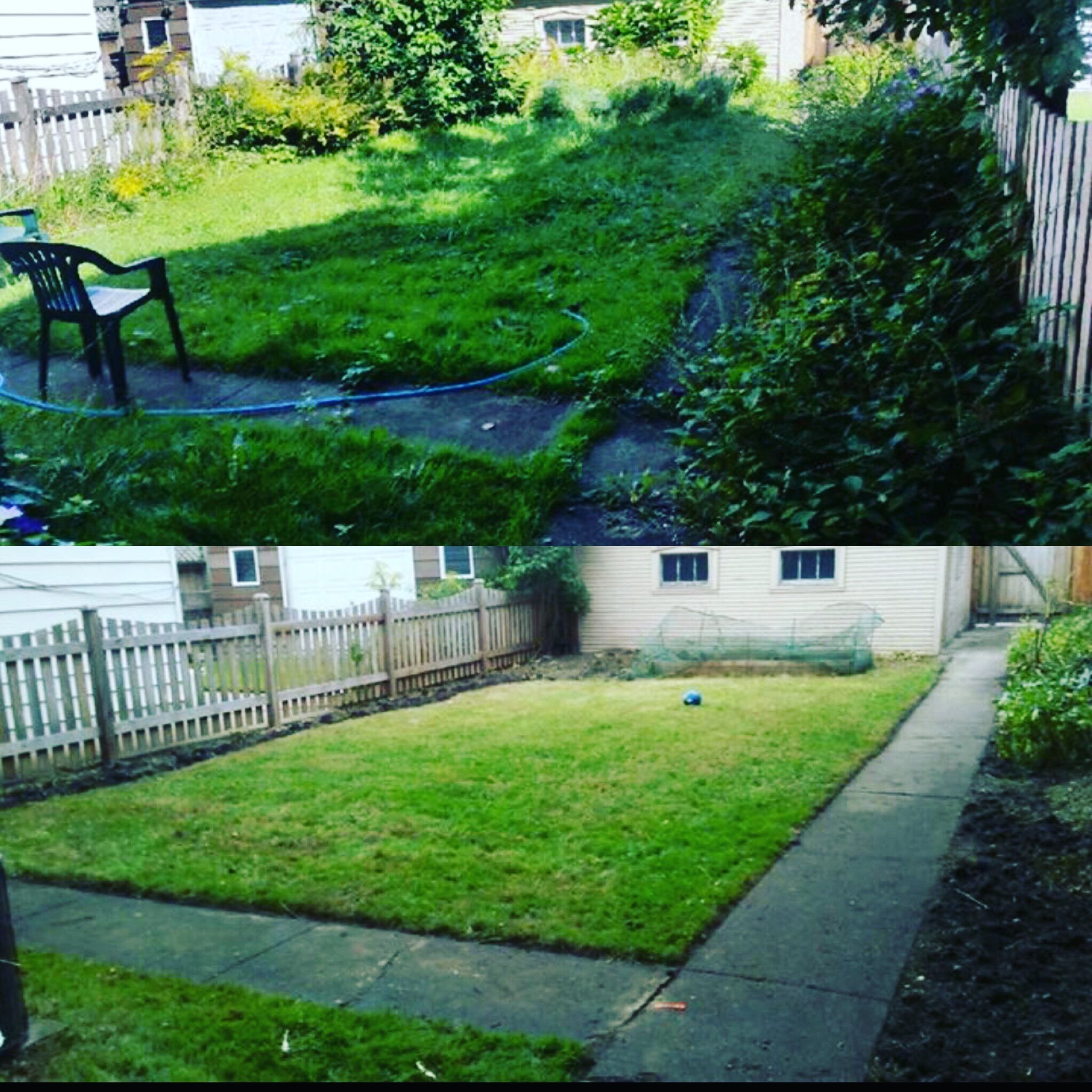 GreenPal Lawn Care of Spokane Spokane 