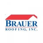 Brauer Roofing Inc, Rochester, logo