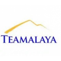 Teamalaya Recruitment Dubai, Dubai Teamalaya Recruitment Dubai, Dubai