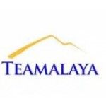 Teamalaya Recruitment Dubai, Dubai, logo