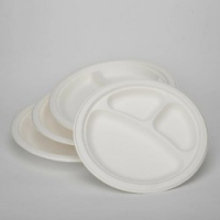 China P012 9x3 Disposable Bagasse Plate Supplier, Jiangbin China P012 9x3 Disposable Bagasse Plate Supplier, Jiangbin