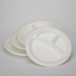 China P012 9x3 Disposable Bagasse Plate Supplier, Jiangbin, 徽标