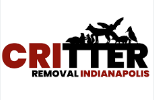 Critter Removal Indianapolis, Indiana