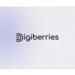 Digiberries- Agence de référencement web, Paris, logo