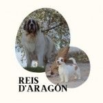 Reis D'Aragón Mastín del Pirineo y Jack Russell Terrier, La Joyosa, logo