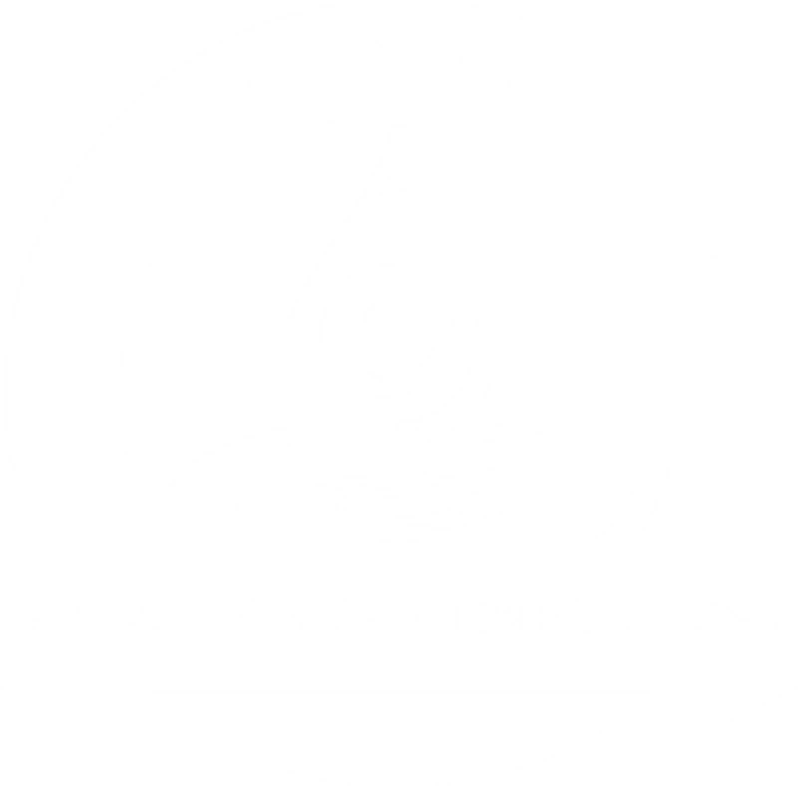 Seltzer Restoration Solutions, San Jose