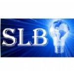 Saving Light Bulbs, Farnham, logo