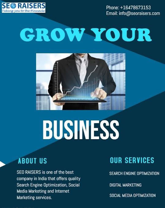 Seoraisers  - SEO Company Toronto Canada