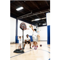 Benchmark Sports - Basketball | Bhangra | Volleyball, Brampton Benchmark Sports - Basketball | Bhangra | Volleyball, Brampton