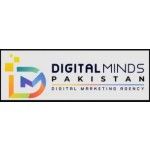Digital Minds Pakistan, Karachi, logo