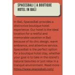 SpacesBali, guwa, logo