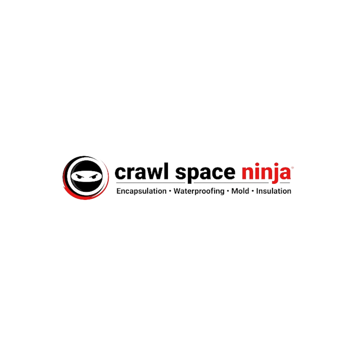 Crawl Space Ninja Greenville, Greenville