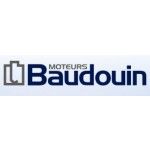 Baudouin India, Pune, प्रतीक चिन्ह