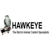 Hawkeye Bird and Animal Control, Acton Hawkeye Bird and Animal Control, Acton