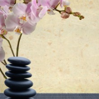 Muscle Elements Health & Wellness, Sherwood Park Muscle Elements Health & Wellness, Sherwood Park