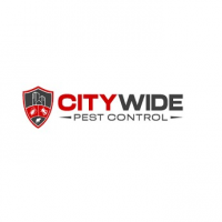 City Wide Possum Removal Melbourne, Melbourne VIC, Australia City Wide Possum Removal Melbourne, Melbourne VIC, Australia