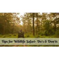 Tiger Safari Booking - Tadoba National Park, Mumbai Tiger Safari Booking - Tadoba National Park, Mumbai
