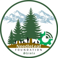 Needleleaf Foundation, shimla Needleleaf Foundation, shimla