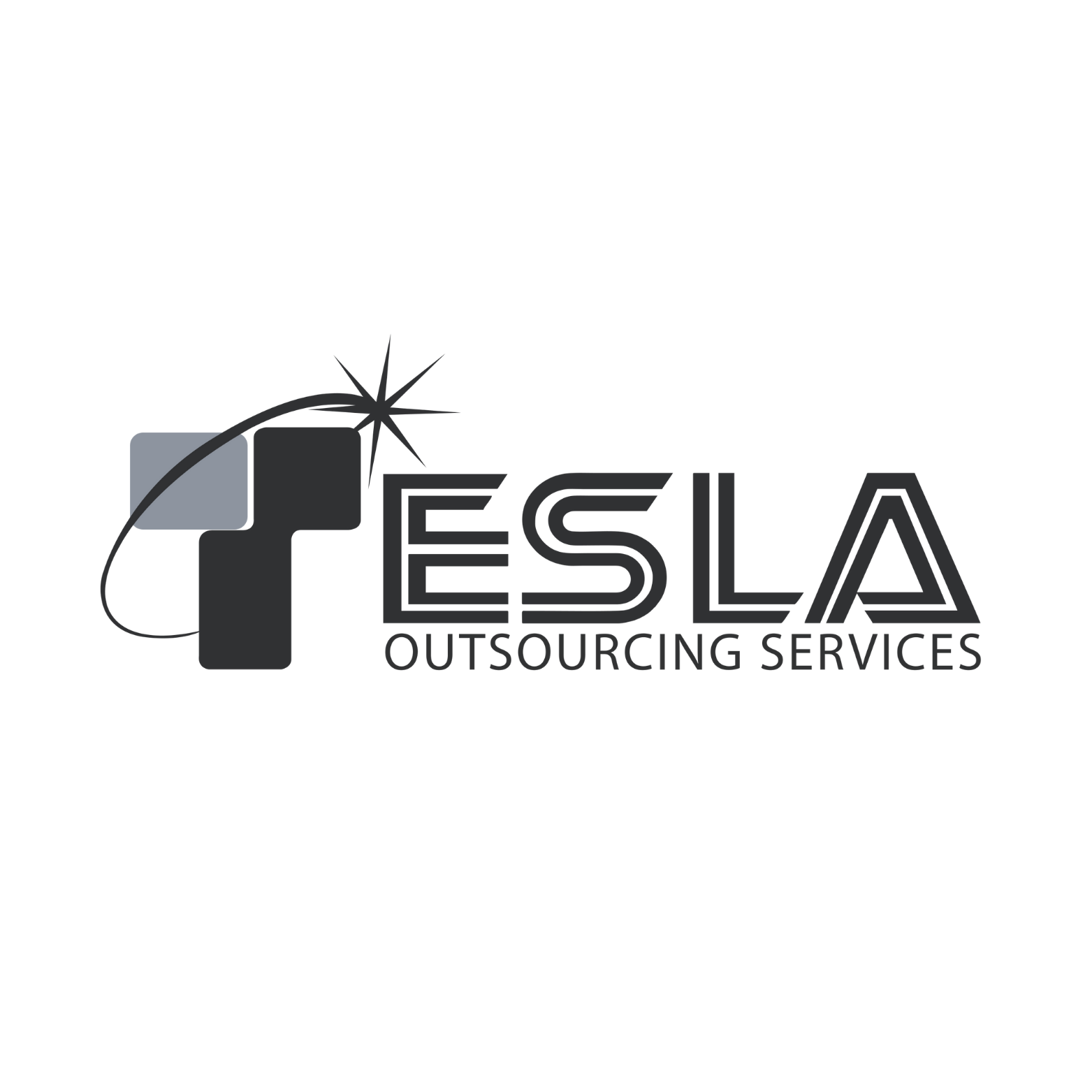 Tesla Outsourcing Services LLC, Albany