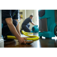 Back 2 Life Water Damage Restoration Sydney, Sydney Back 2 Life Water Damage Restoration Sydney, Sydney