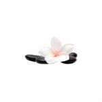 Home Massage Services in Dubai, dubai Home Massage Services in Dubai, dubai, logo