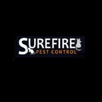 Sure Fire Rodent Control Brisbane, Brisbane Sure Fire Rodent Control Brisbane, Brisbane