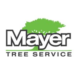 Mayer Tree Service, Essex, MA
