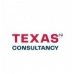 Texas Consultancy LLC, Dover, logo